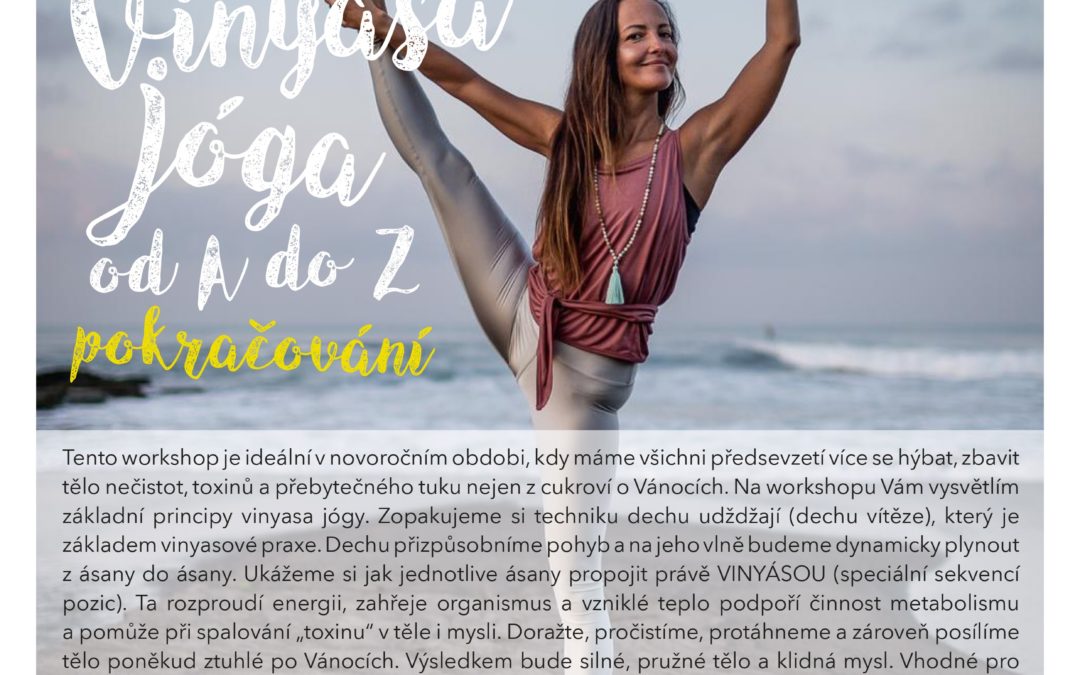 Workshop – Vinyasa jóga od A do Z POKRAČOVÁNÍ 26.4.2020